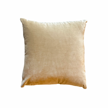 Tan Velvet Pillow / 24