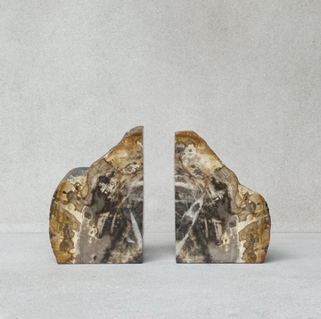 Petrified Wood Bookends / set 2