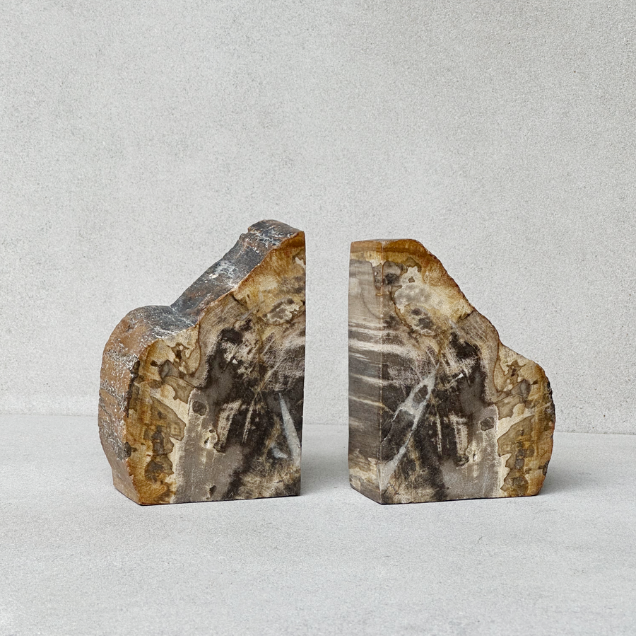 Petrified Wood Bookends / set 2