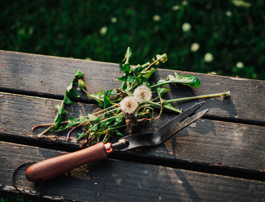 Dandelion Weeding Fork