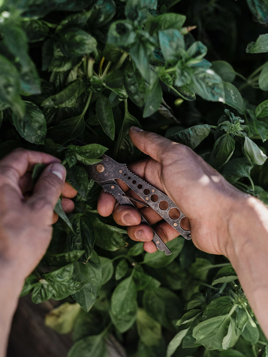 Herb Harvest + Strip Tool