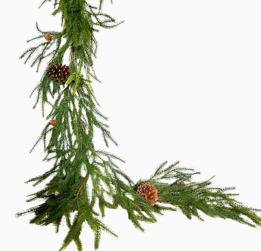 Pacific Norfolk Pine/Cone Christmas Garland 72''