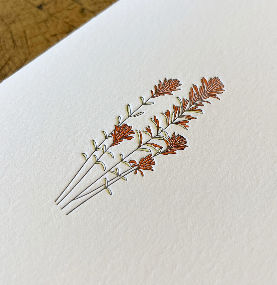 Desert Paintbrush Wildflower Letterpress Card