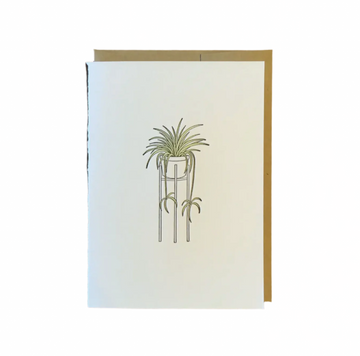 Spider Plant Letterpress Card