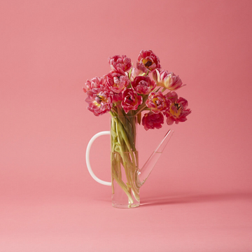 Arlo Glass Watering Can